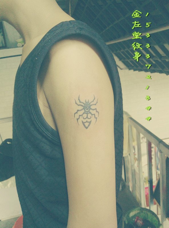 小清新纹身蜘蛛纹身金左堂纹身盖疤痕修改纹身 安阳纹身 水冶纹身