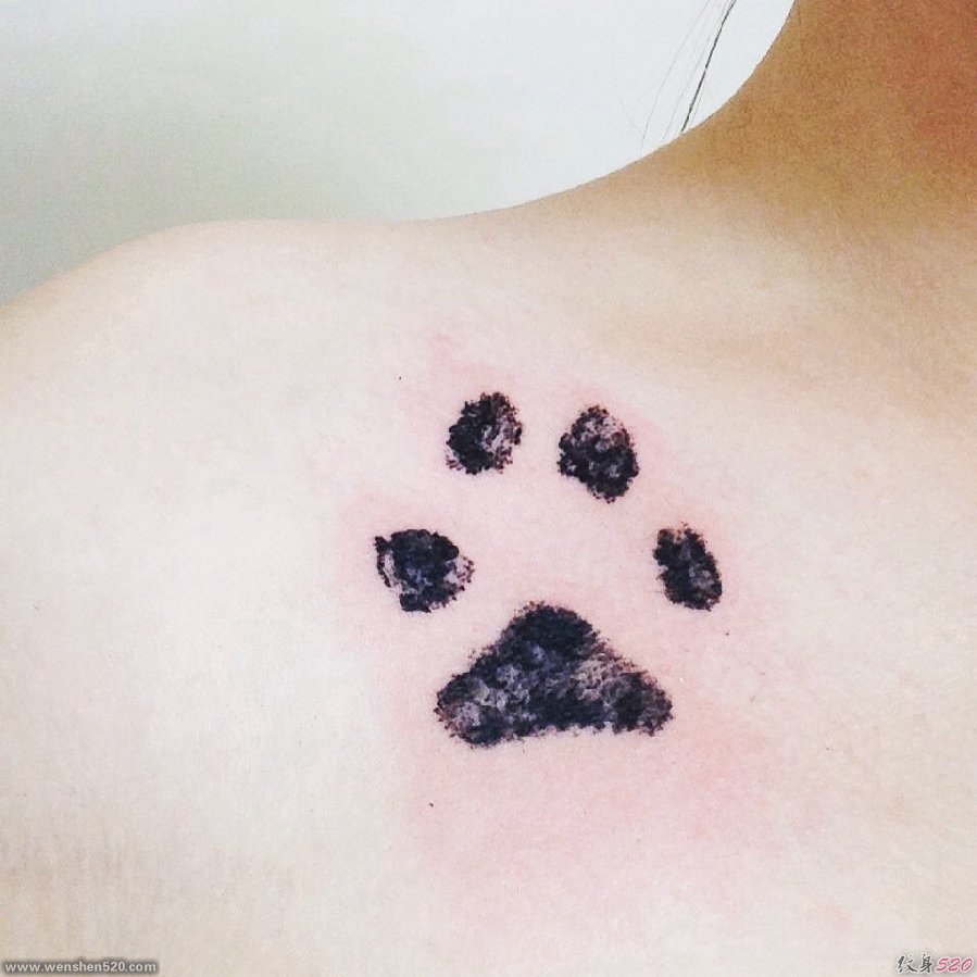 黑色的狗爪印纹身小清新女士可爱纹身图片