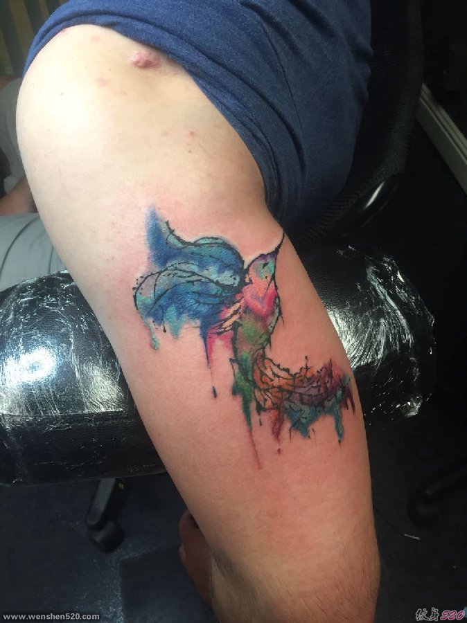 左手大臂膀上漂亮的水彩蜂鸟纹身图片