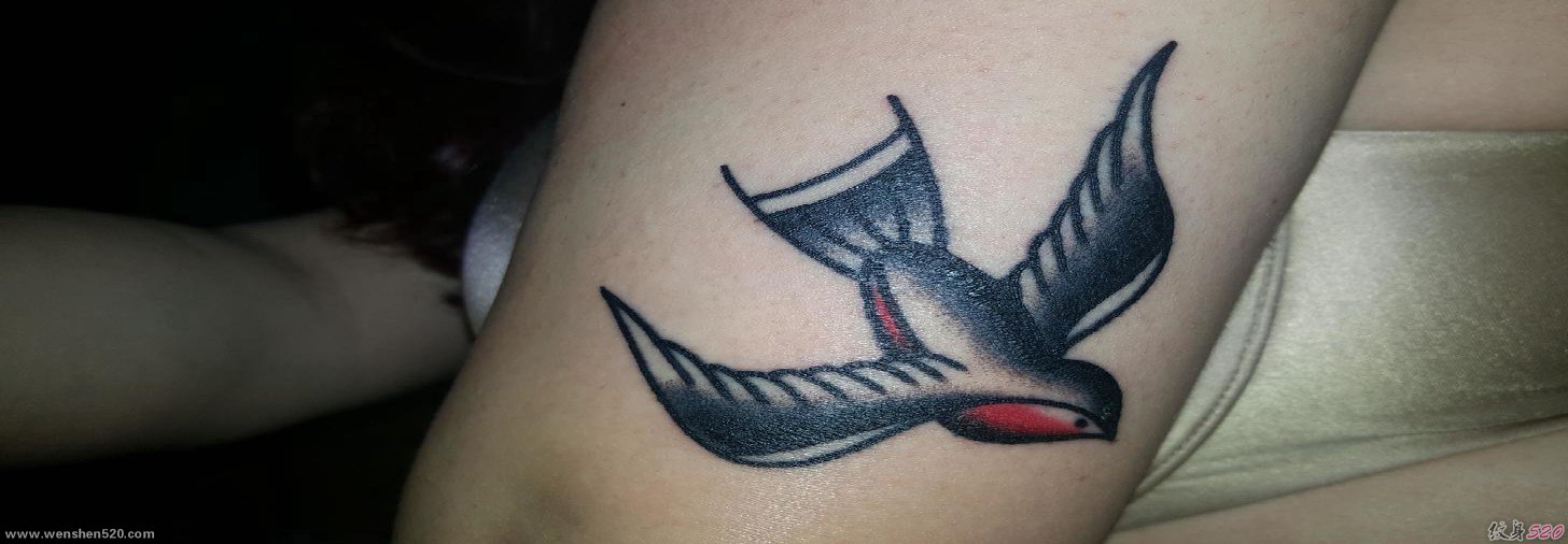 女性左手大臂上漂亮的传统风格燕子纹身图片