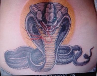 蛇纹身图片，后背蛇纹身，江都纹身店，江都有名的纹身店