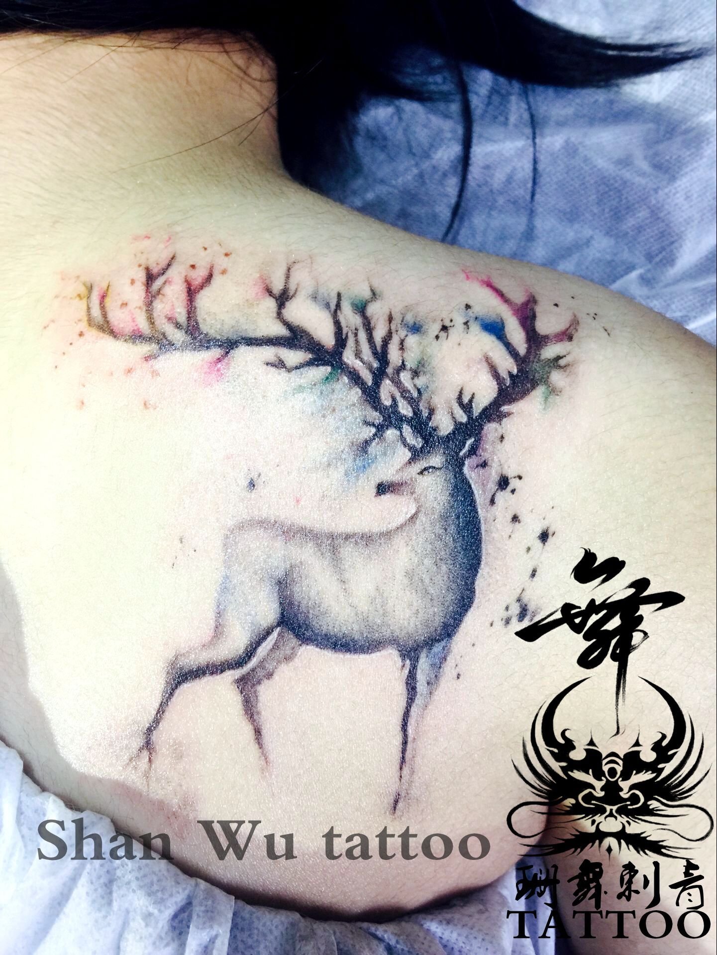 欧美彩色泼墨动物后背小图，写实动物，女生纹身