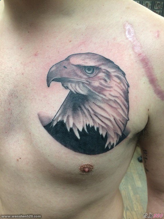 男性左胸部上黑灰色老鹰头纹身图片