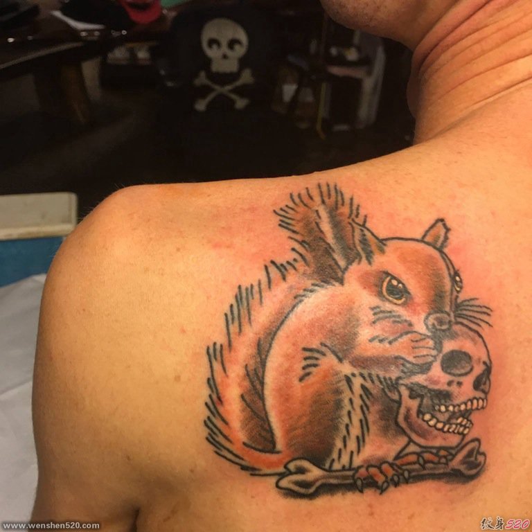 男性后肩背上可怕的松鼠吃骷髅头纹身图片