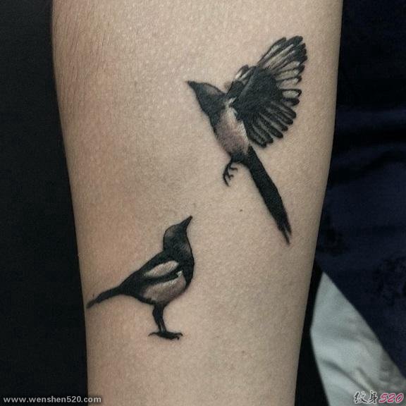手前臂上的一对可爱的喜鹊纹身图片
