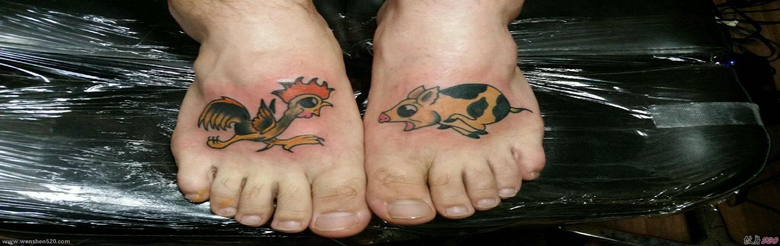 脚背上可爱的小公鸡和猪纹身动物图案纹身