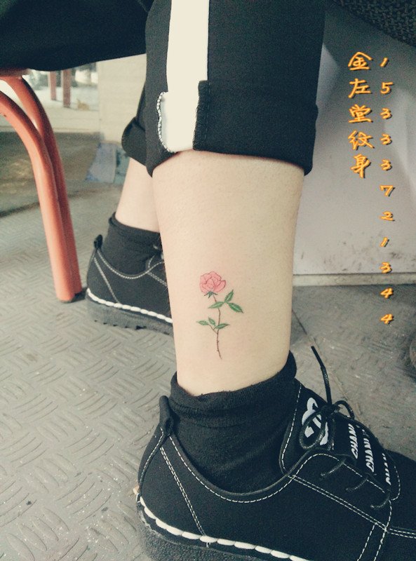 小清新脚腕玫瑰纹身 金左堂纹身盖疤痕修改纹身 安阳纹身 水冶纹身