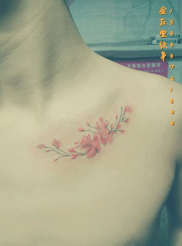 樱花纹身 金左堂纹身盖疤痕修改纹身 安阳纹身 水冶纹身