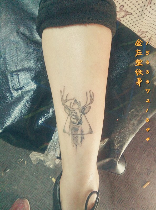 鹿头纹身 金左堂纹身盖疤痕修改纹身 安阳纹身 水冶纹身