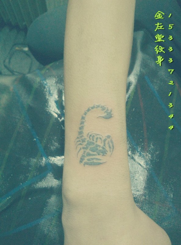 图腾蝎子纹身 金左堂纹身盖疤痕修改纹身 安阳纹身 水冶纹身