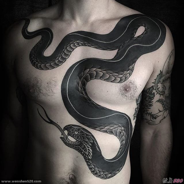 黑色的水墨风格点刺纹身动物图案纹身