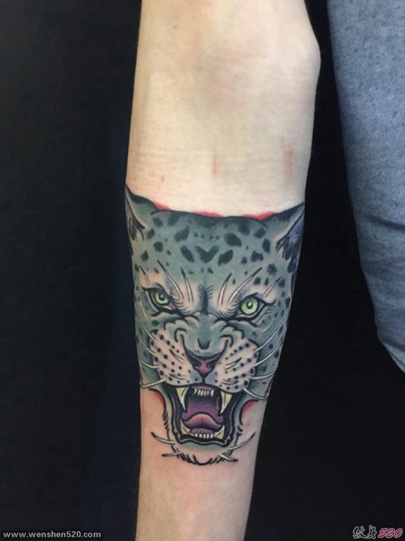 手臂上邪恶的小灰猫脸纹身动物纹身图片
