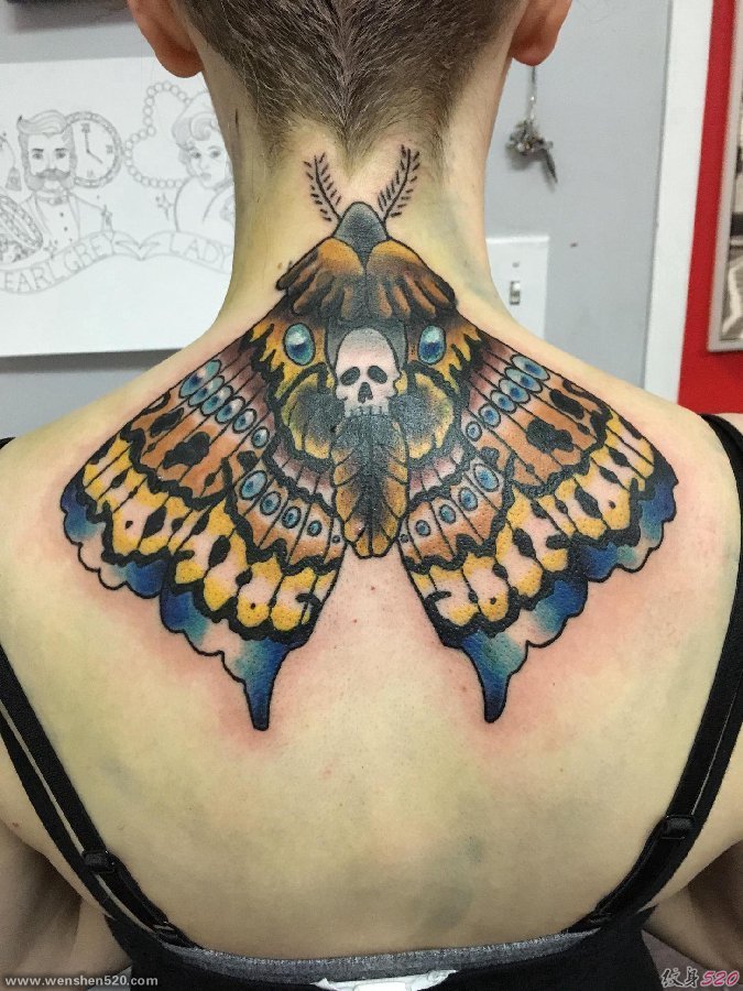 美女后颈部彩色的飞蛾纹身动物图片