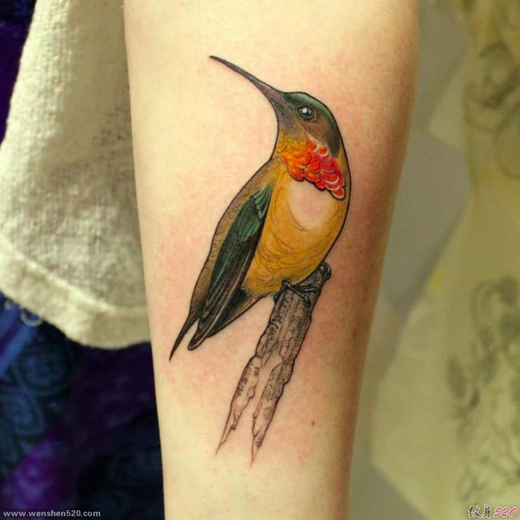 彩色的水墨风格纹身动物鸟纹身图案