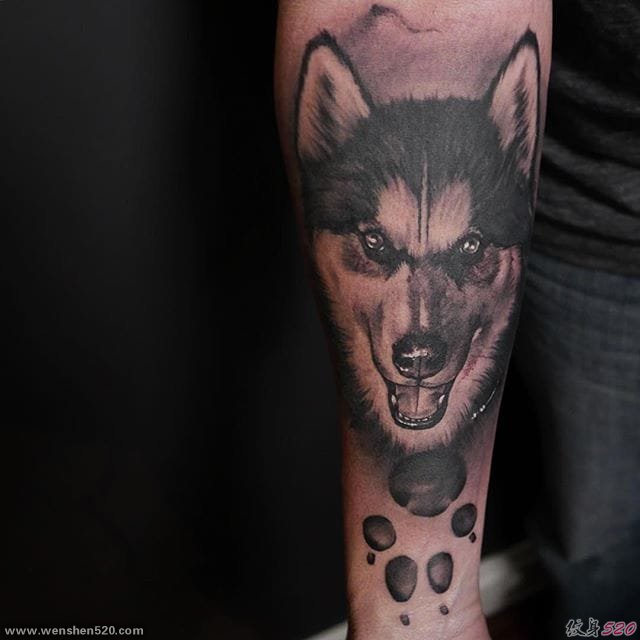 13款可爱的宠物狗纹身动物哈士奇肖像纹身图案