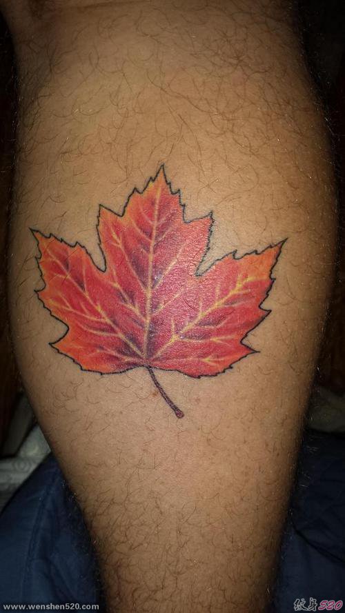 小腿上漂亮的红枫叶纹身图片