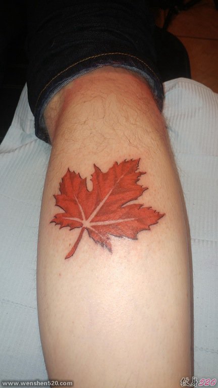 小腿上小清新植物纹身红色枫叶纹身图片