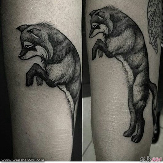 腿上的黑灰色站立的狐狸纹身图片