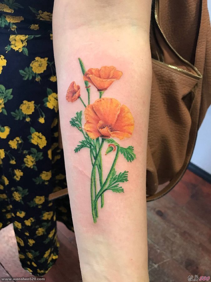 美女手臂上小清新植物纹身加州罂粟花纹身图片