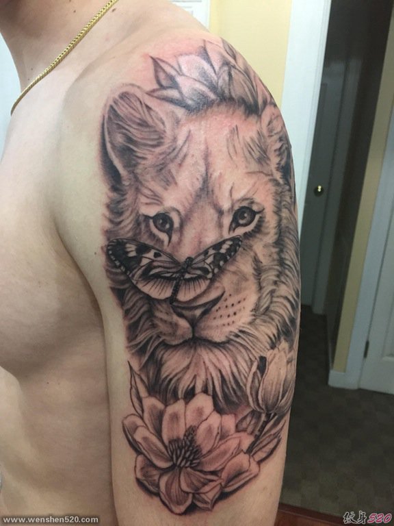男性手臂素描纹身动物狮子头纹身和蝴蝶纹身图片