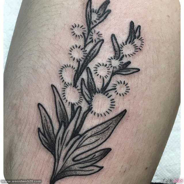 彩色小清新植物纹身小花朵纹身图案