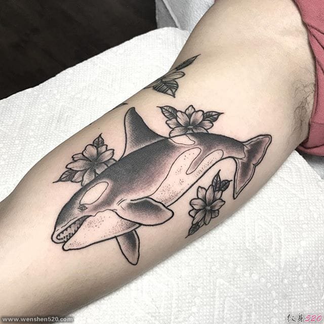 10款可爱的动物纹身鲸鱼卡通纹身小图案