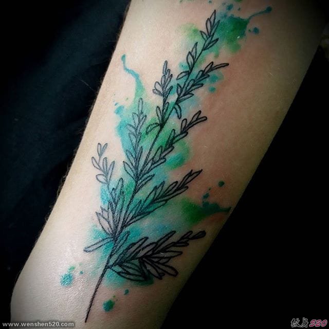 小清新植物纹身迷迭香纹身图案大全