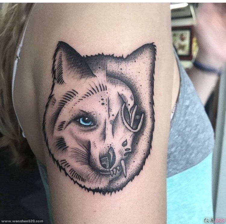 美女右手臂上黑色点刺纹身动物狐狸纹身图片