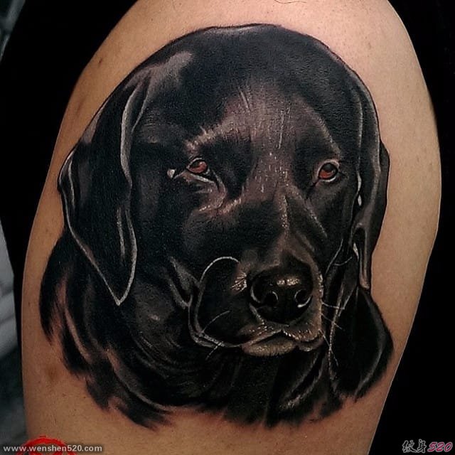 9款可爱的拉布拉多犬宠物狗纹身小动物纹身图案