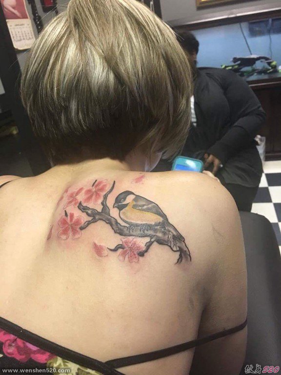 女孩背上的站点花枝上的鸟纹身图片
