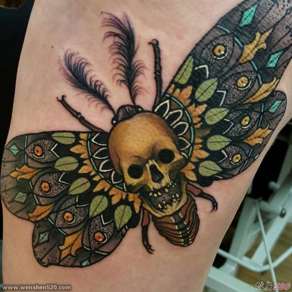 11款漂亮的飞蛾纹身蝴蝶纹身动物图案纹身