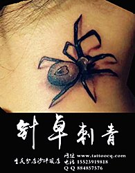 重庆针卓刺青3D蜘蛛