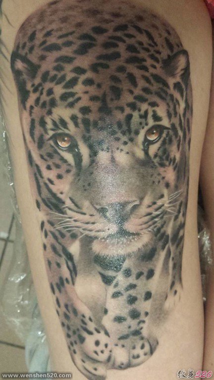 腿上的写实风格豹子纹身图片
