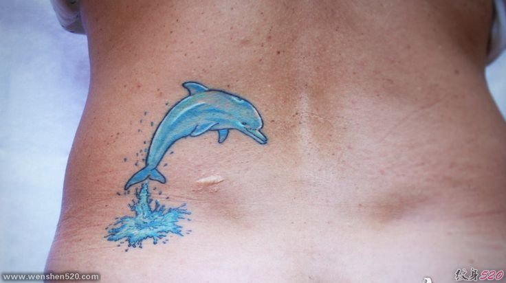 多款可爱的蓝色的现实主义风格纹身海豚纹身动物图案