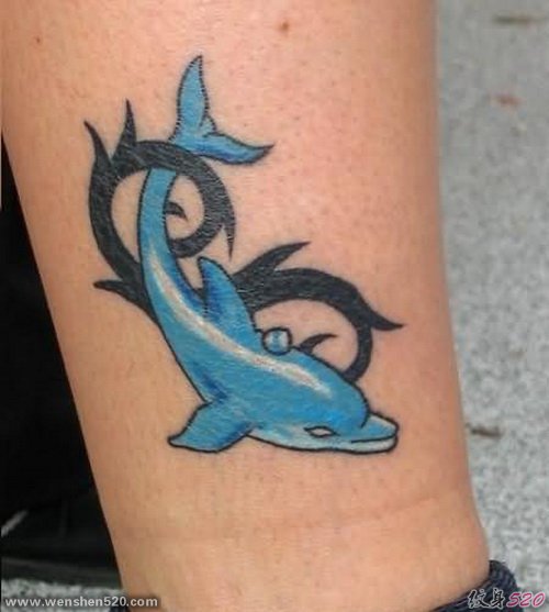 多款可爱的蓝色的现实主义风格纹身海豚纹身动物图案