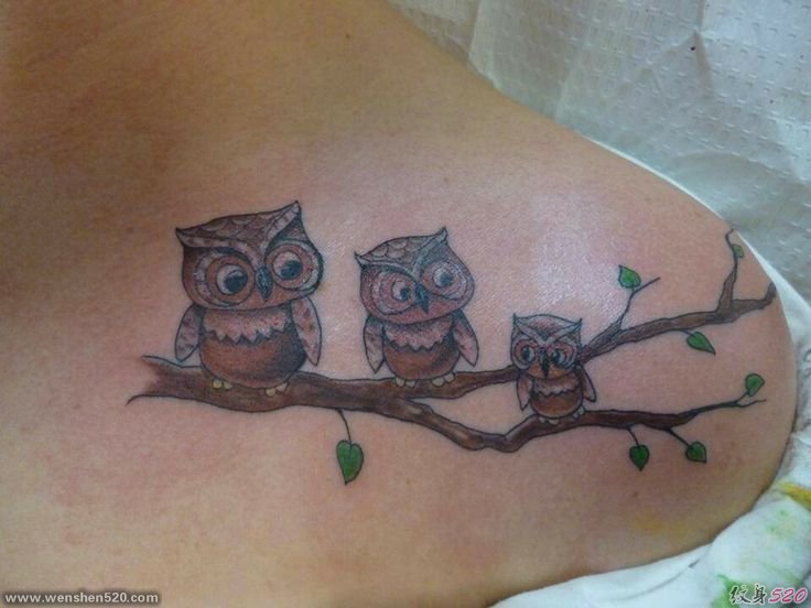 有帅气或很萌很可爱的猫头鹰纹身图案欣赏