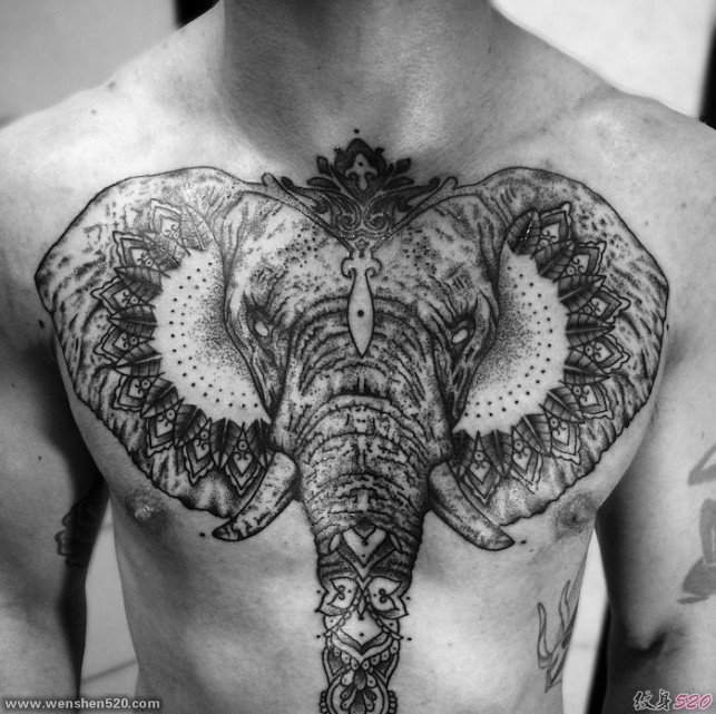 很霸气很精美的正面大象纹身图案