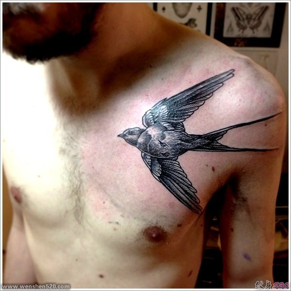 各种可爱的小燕子纹身图案欣赏