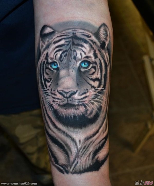 男性们都喜欢这样帅气的凶猛的老虎纹身图案