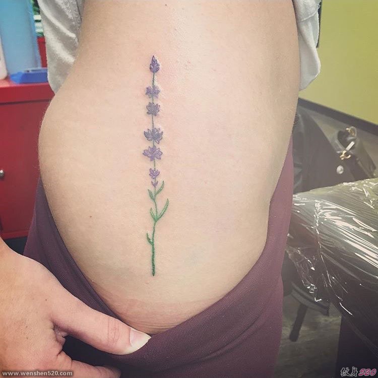 彩色的女神纹身小清新植物纹身小花朵图案