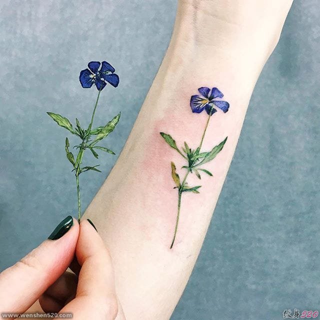 女生喜欢的小清新植物纹身图案