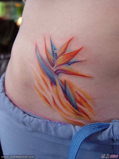女生小清新纹身彩色天堂鸟花纹身植物纹身图案