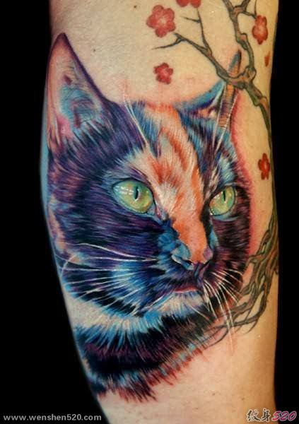 彩色的各种风格猫纹身动物图案纹身