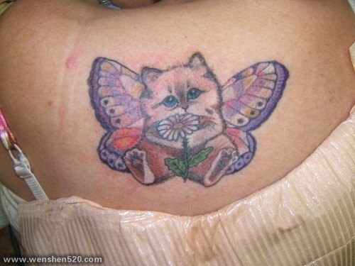 彩色的各种风格猫纹身动物图案纹身
