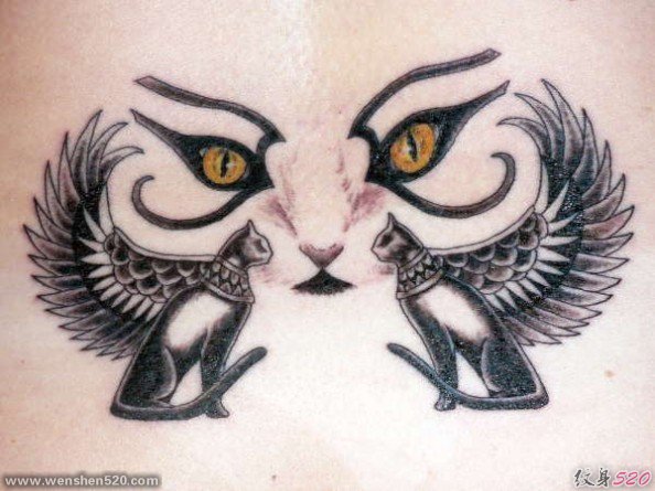 彩色的各种风格猫纹身动物图案纹身