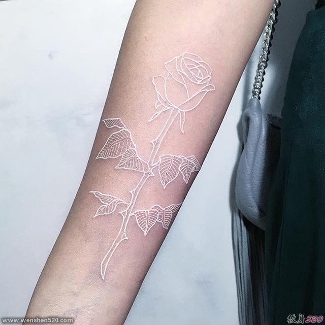 个性的白墨水纹身玫瑰花和小雪花纹身几何花纹身图案