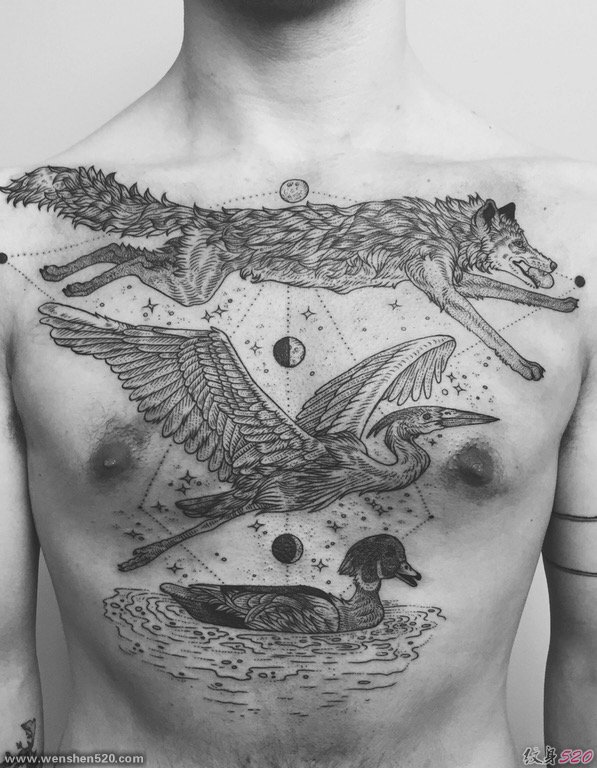 男生胸部简约线条纹身狼纹身仙鹤纹身和鸭子纹身图片