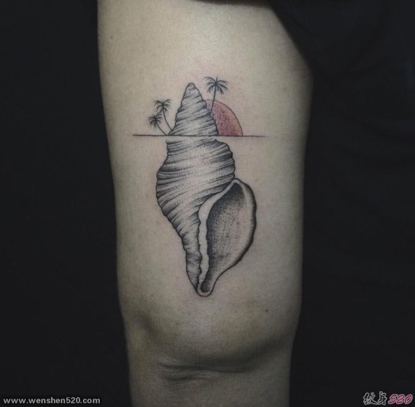 手臂上黑色海螺纹身素描技巧点刺纹身几何纹身图案