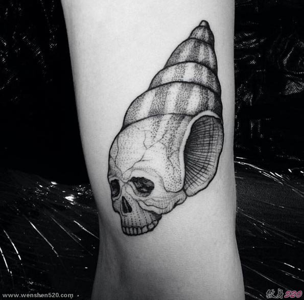 手臂上黑色海螺纹身素描技巧点刺纹身几何纹身图案