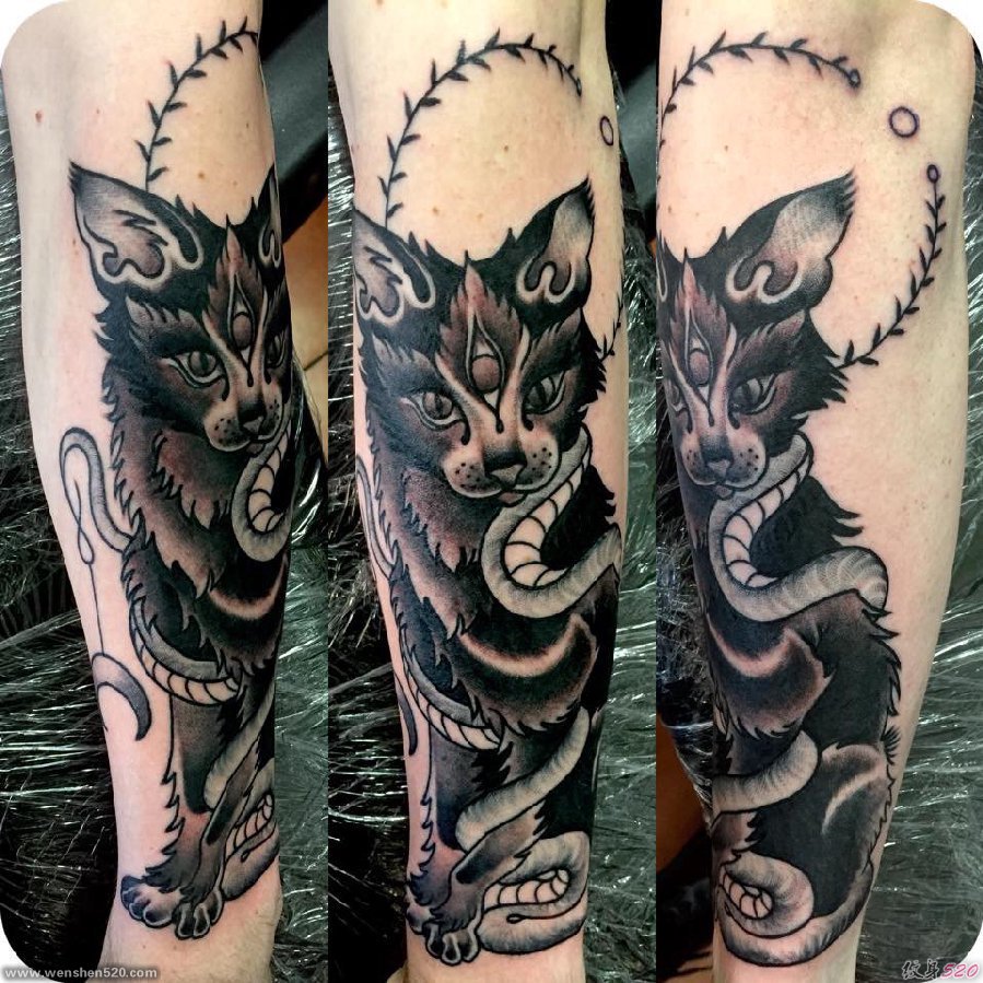 黑色手臂眼睛纹身蛇和植物藤和三只眼睛黑猫纹身图片